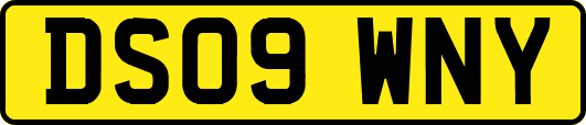 DS09WNY