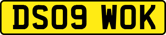 DS09WOK