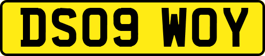 DS09WOY