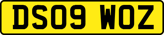 DS09WOZ