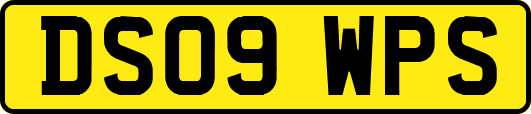 DS09WPS