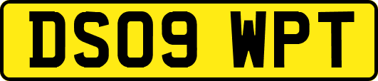 DS09WPT