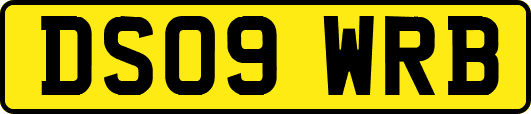 DS09WRB