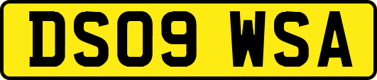 DS09WSA