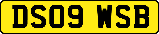 DS09WSB