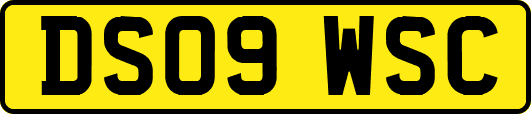 DS09WSC