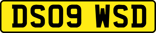 DS09WSD