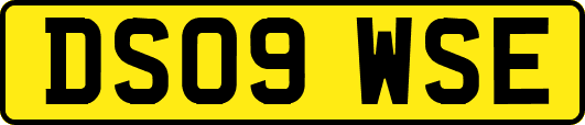 DS09WSE