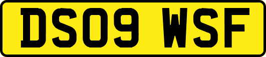 DS09WSF