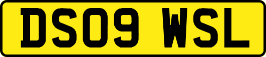 DS09WSL