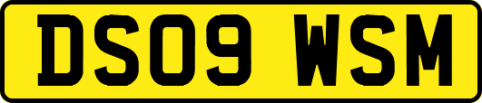 DS09WSM