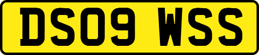 DS09WSS