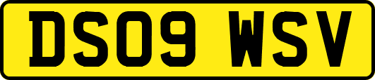 DS09WSV