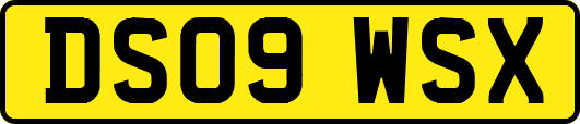 DS09WSX