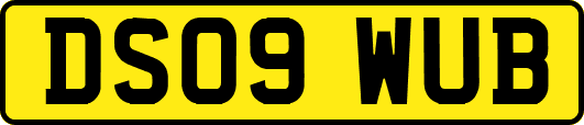 DS09WUB