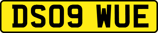 DS09WUE