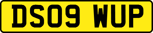 DS09WUP