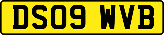 DS09WVB