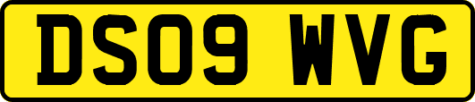 DS09WVG