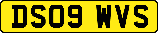 DS09WVS