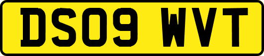 DS09WVT
