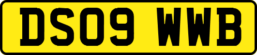DS09WWB