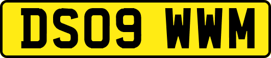 DS09WWM