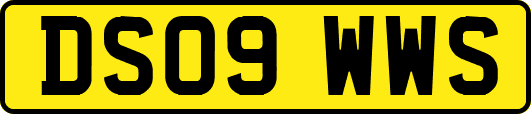 DS09WWS