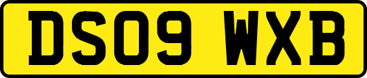 DS09WXB
