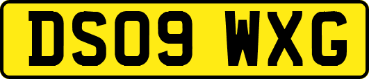DS09WXG