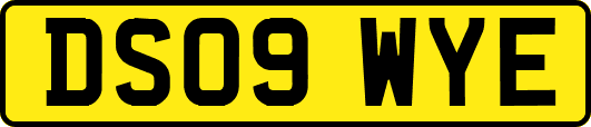 DS09WYE