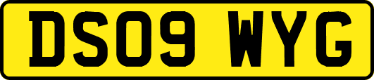 DS09WYG