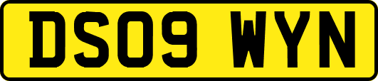 DS09WYN