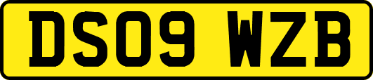 DS09WZB