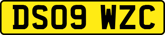 DS09WZC