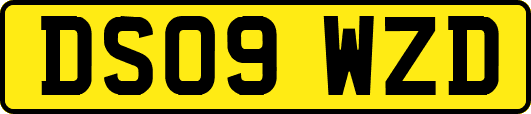 DS09WZD