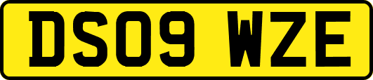 DS09WZE