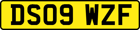 DS09WZF