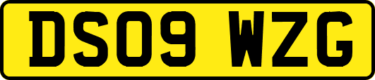 DS09WZG