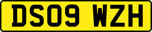 DS09WZH