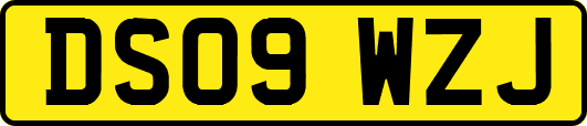 DS09WZJ