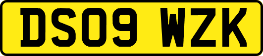 DS09WZK
