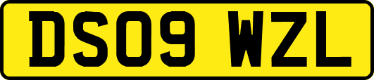 DS09WZL
