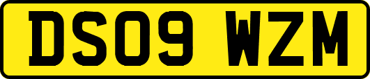 DS09WZM