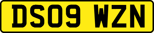 DS09WZN