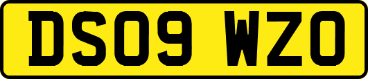 DS09WZO