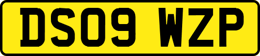DS09WZP