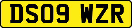 DS09WZR