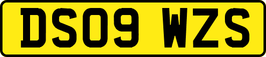DS09WZS