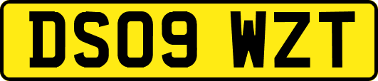 DS09WZT